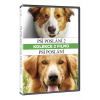 Psí poslání: kolekce 1.+ 2. 2DVD