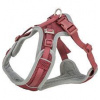 FlexMesh Premium postroj, široký střih, sangria XS-S: 40-57 cm/ 15 mm