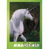 Kamošník - Jednorožec - Dagmar Orémusová