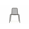 TODUS STARLING STR1