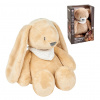 NATTOU Uspávačik plyšový hudobný so svetielkom a senzorom plaču 4v1 Sleepy Bunny Pale Brown 0m+ Variant: NATTOU Uspávačik plyšový hudobný so svetielkom a senzorom plaču 4v1 Sleepy Bunny Pale Brown 0m+