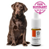 Releaf 10/10ml CBD olej pre psov