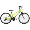 Kenzel Roxis 24 2024