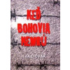 Keď bohovia nemrú - Čičvák Ilja