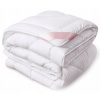 Perina, paplón - Domov IGA 160 x 200 cm prikrývka (Celou -ear Cotton Cotton Cotton Quilt 160x200)