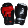 Box rukavice SULOV® DX, černé