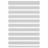 Roleta zebra, svetlosivá, šírka tkaniny 100,9 cm, polyester