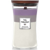 Vonná svíčka velká Trilogy Amethyst Sky 609,5 g - WoodWick