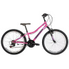 Kenzel Roxis 24 KSW 2024