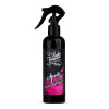 Auto Finesse Spritz Interior Detail Spray 250 ml