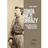Sokol mezi obrazy - Karel Stibral