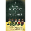 A Secret History of Witches - Louisa Morgan