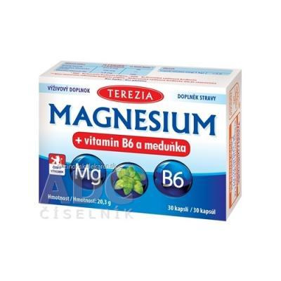 TEREZIA MAGNESIUM + vitamin B6 a meduňka (medovka) cps 1x30 ks
