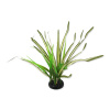 Repti Planet rastlina Spartina 30 cm