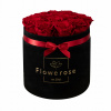 Tmavo červená ruža Eternal FlowerBox Velvet L (Tmavo červená ruža Eternal FlowerBox Velvet L)
