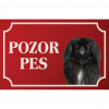 Pekinský palácový psík - Kovová tabuľka POZOR PES