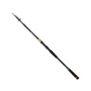 DAIWA - Prút Legalis Tele Allround 3,3 m 30-90 g