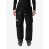 Lyžiarske nohavice The North Face GTX Dawnstrike Pant - tnf black