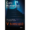 V temnotě