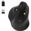 Port Designs Bluetooth wireless & rechargeable ergonomic mouse with trackball 900719