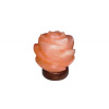 RABALUX Flores 2676