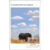 A Training School for El… (Sophy Roberts)