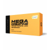 Scitec Nutrition Mega Creatine Monohydrate 1320 120 kapsúl
