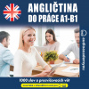 Audiokniha: Angličtina do práce A1-B1