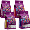 Káva zrnková Arabica Blue Orca Coffee LA STORIA Gusto Delicato 800 g