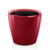Lechuza Classico LS 28 Scarlet komplet
