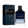 GIVENCHY Gentleman Intense toaletná voda pánska 100 ml, 100ml