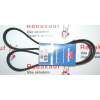 Drážkový řemen AUDI - BMW E34 - FORD - KIA - SEAT (AUDI 06B903137J AUDI 06D903137C AUDI 06D903137E AUDI 6D903137A BMW 11281738991 BMW 11287516621 BMW 1735193 BMW 17351939 FORD 1040760 FORD 7239510 FOR