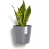 Ecopots Nástenný kvetináč Amsterdam 