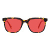 KUGO Glasses bedtime KUGO material: Stanton tortoise