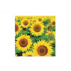 Servítky 33 cm – Slnečnicové pole