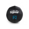 Tiguar wallball 2 kg TI-WB002 NEPLATÍ
