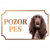 Poľný španiel - Kovová tabuľka POZOR PES