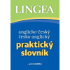 Anglicko-český a česko-anglický Praktický slovník - kolektiv