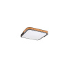 RABALUX 71146 ARILD stropné svietidlo LED 48W