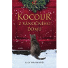 Kocour z vánočního domu