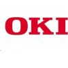 Pamäť OKI 256 MB pre C321/330/331/530/531/610/612/711/712/822/831/841/MC342/342w/351/352/361/362/561/562/B840