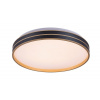 Rabalux GANDOR LED stropné svietidlo 71141