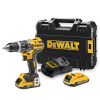 DeWalt DCD796D2 18V XR příklepová vrtačka, 2 x 2,0 Ah