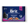 Brit Premium Cat rybací multipack 4 x 100 g