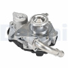AGR - Ventil DELPHI EG10562-12B1