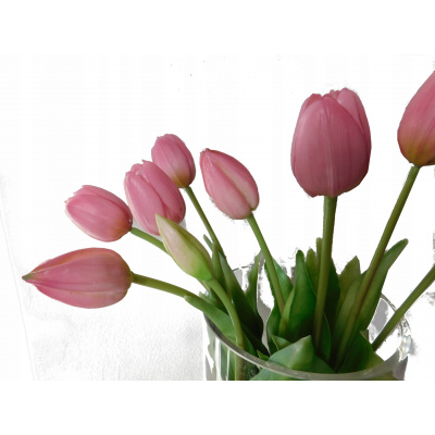 umele tulipany – Heureka.sk
