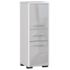 Kúpeľňová skrinka FIN 30 2D 1SZ 85 cm metalická, lesk