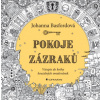 Pokoje zázraků - Basfordová Johanna
