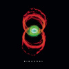 Pearl Jam Binaural