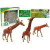 mamido Žirafy Vzdelávacie Postavy Rodina 3ks + Afrika Stiahnuť obrázok